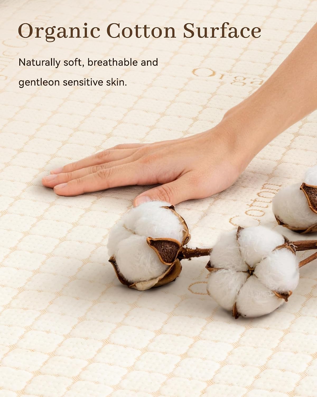 Organic Cotton Waterproof Protector